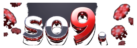 so9 logo
